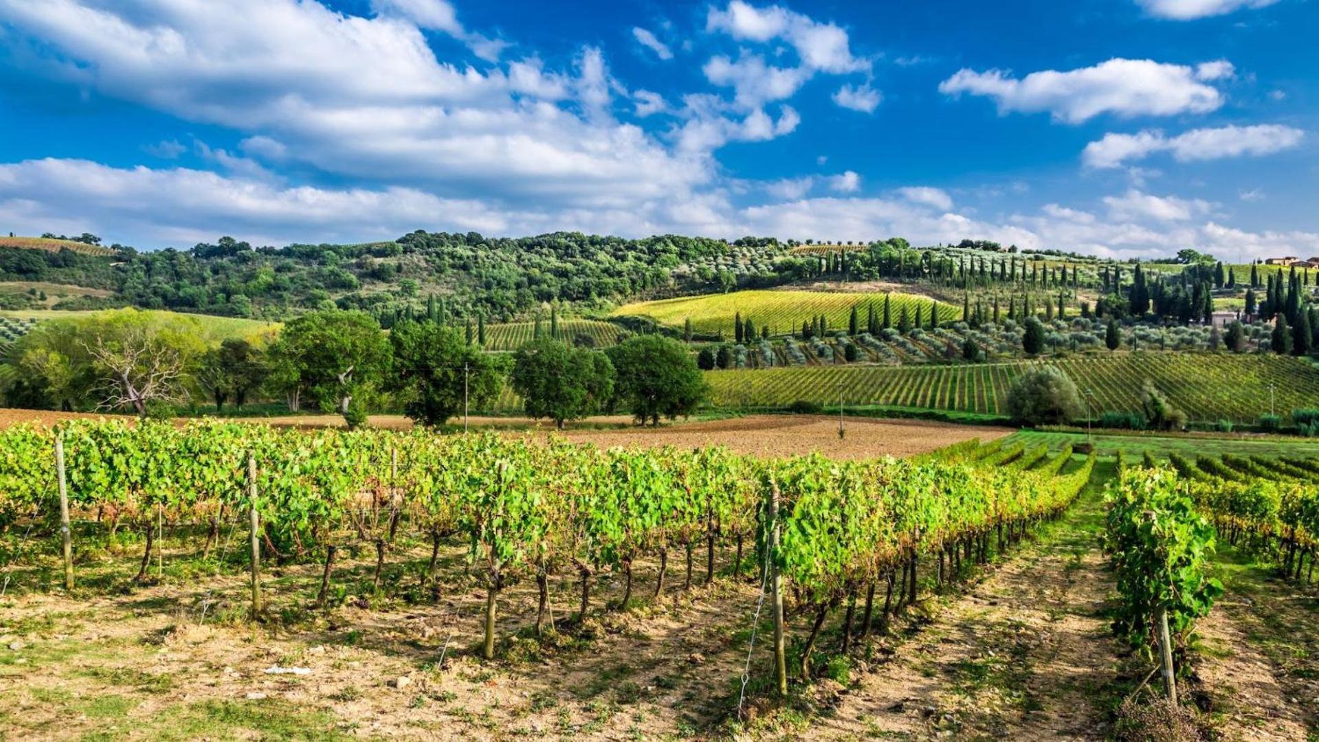Terre Gialle - La Val D'Orcia Nascosta Castel del Piano  Luaran gambar